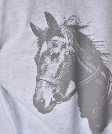 STEAF PACK ANIMAL SWEAT