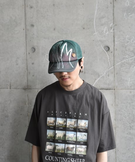 NAM Warped Mesh Cap