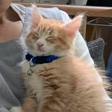 西牟田農園ネットショップ