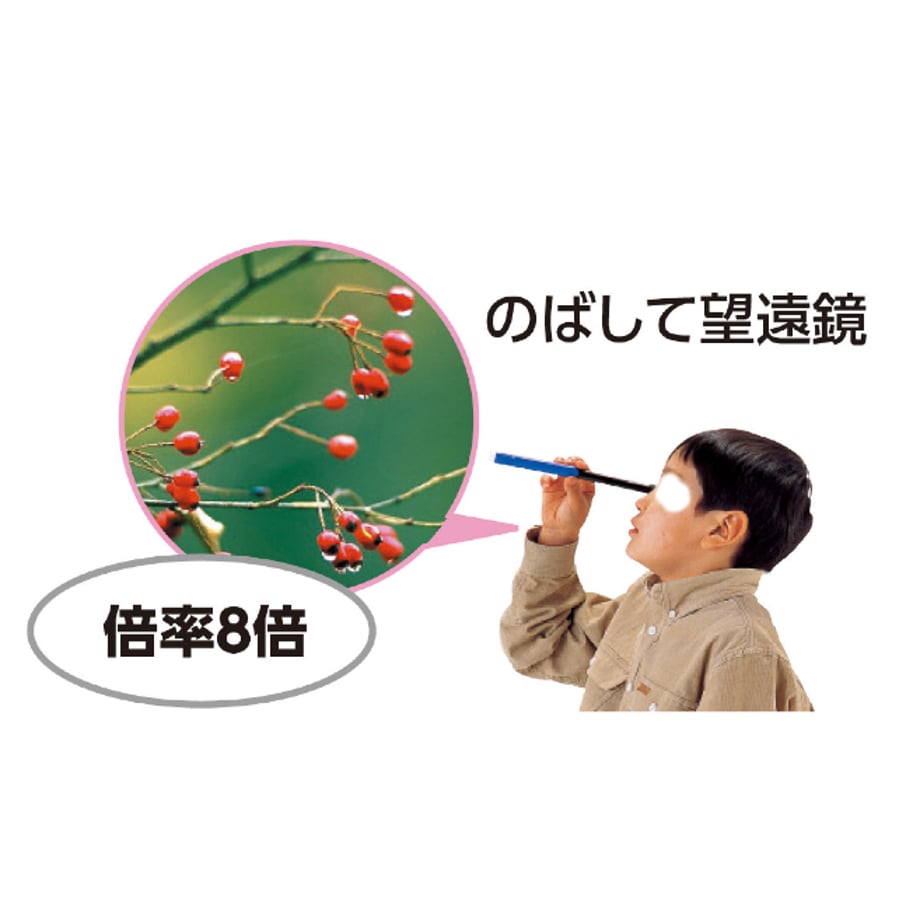 66360668fdfc8d0001e52566
