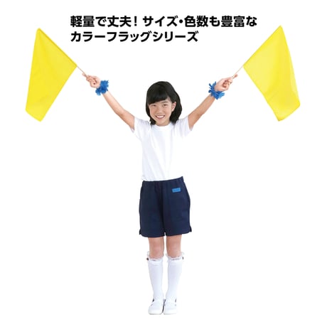 ｻﾃﾝ小旗 ﾒﾀﾘｯｸｵﾚﾝｼﾞ