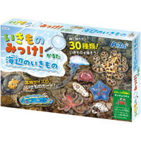 いきものみっけ!かるた うみべのいきもの