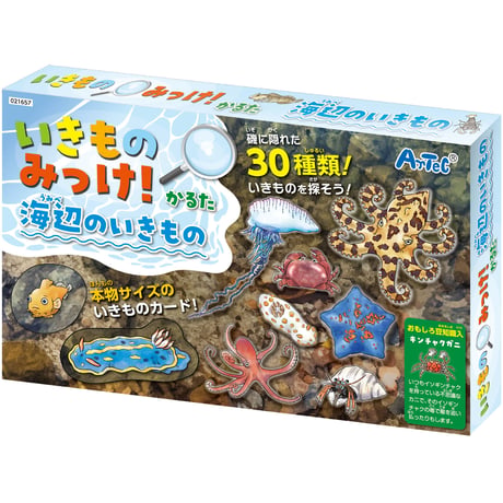 いきものみっけ!かるた うみべのいきもの