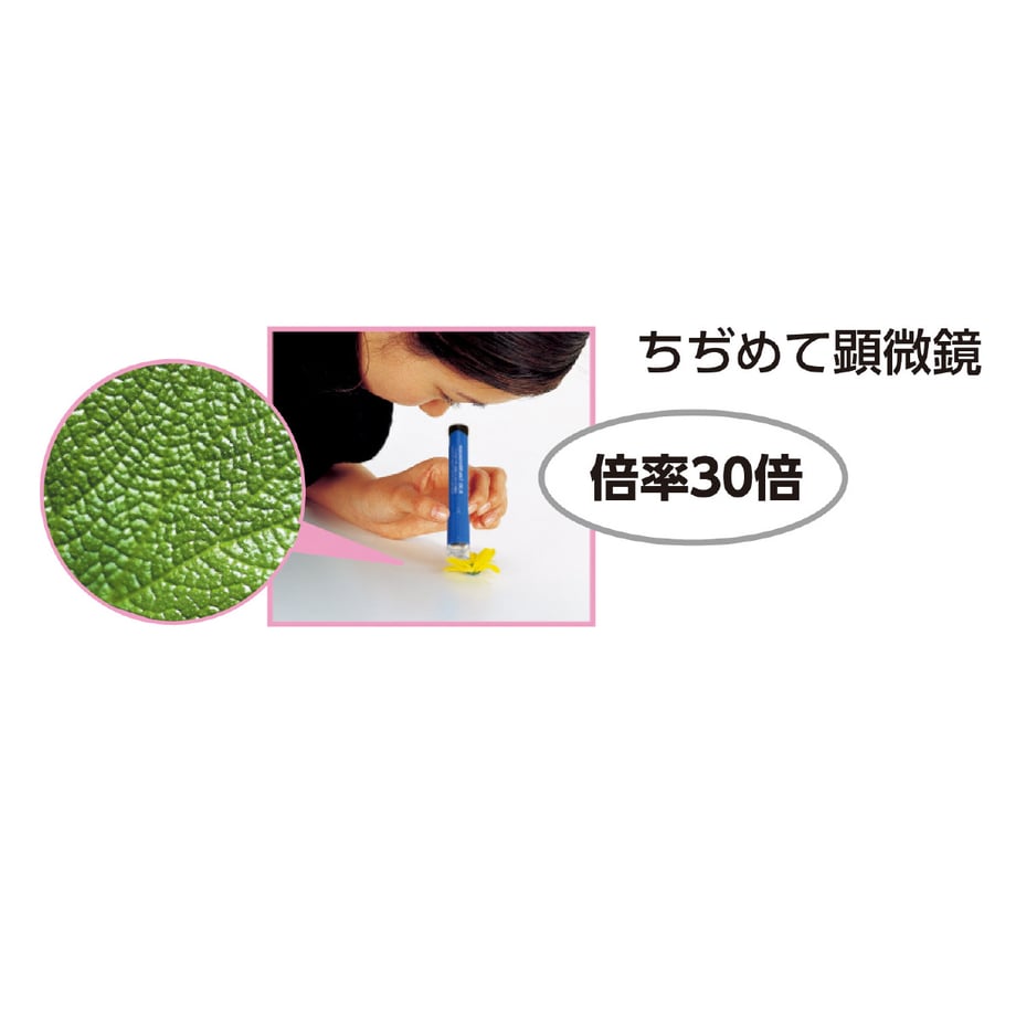 66360668fdfc8d0001e52566