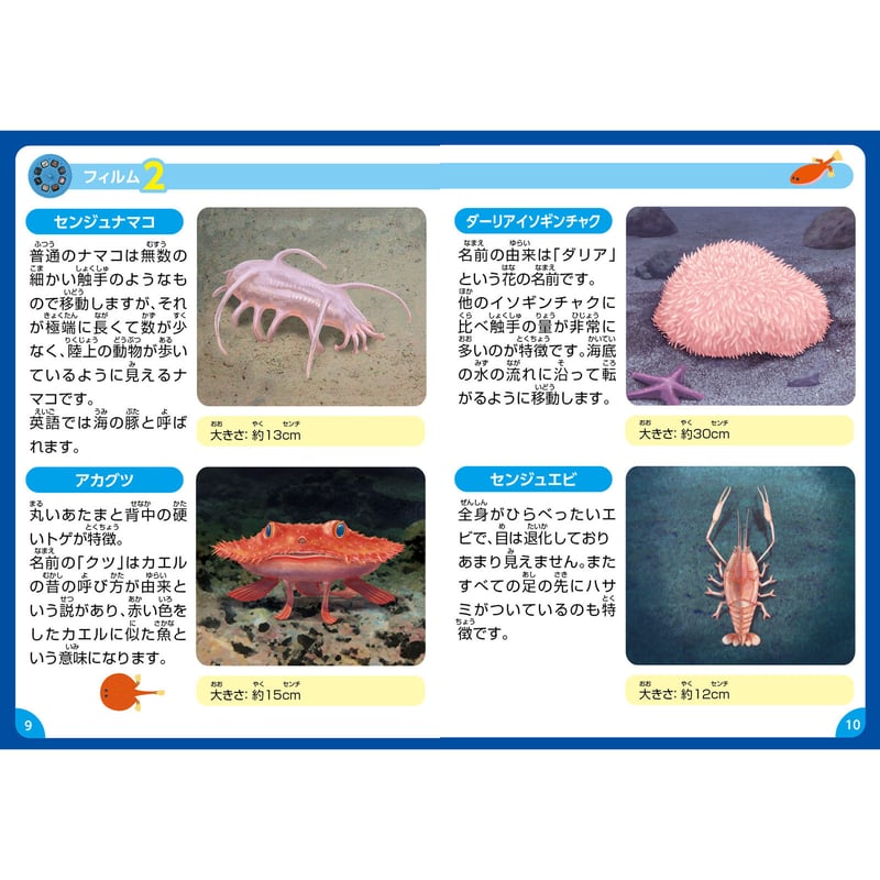 ふしぎな深海のいきものﾌﾟﾛｼﾞｪｸﾀｰ | ACT`store