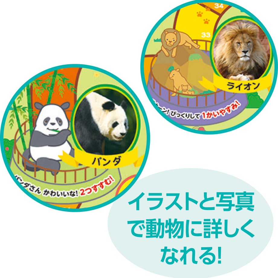 6636068bfdfc8d0001e526a8