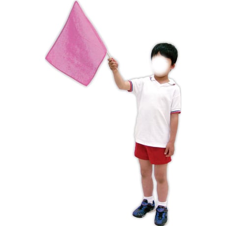 小旗 桃 10本組