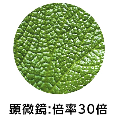 8･30ｽｺｰﾌﾟ（新型ﾌﾞﾘｽﾀｰ仕様）