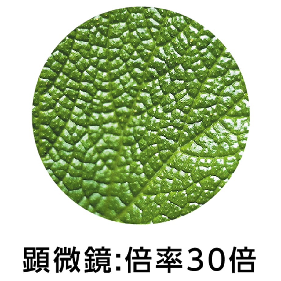 66360668fdfc8d0001e52566