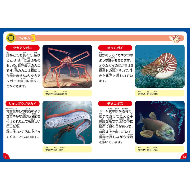 ふしぎな深海のいきものﾌﾟﾛｼﾞｪｸﾀｰ | ACT`store