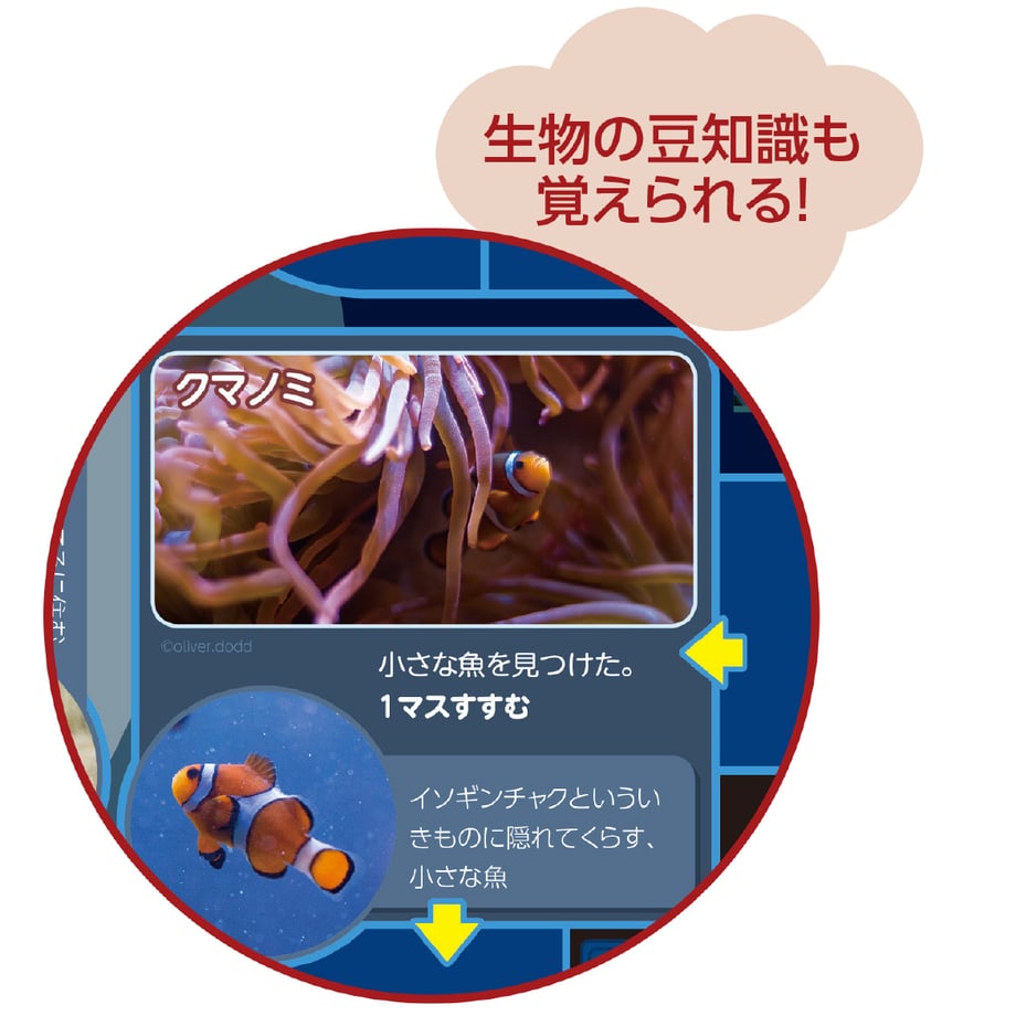 6636068bfdfc8d0001e526a2