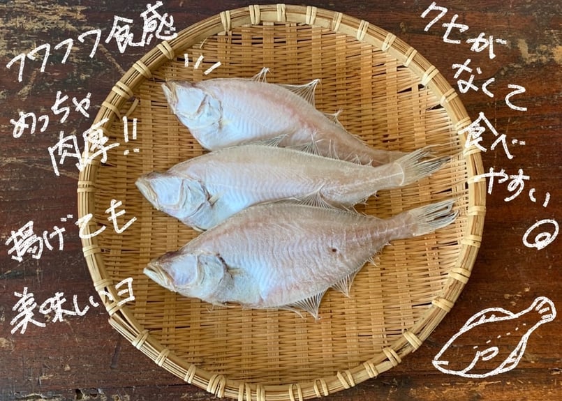 送料無料】山陰の干物セット 1 | 横山商店