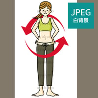 女性の身体の循環イメージ【JPEG】