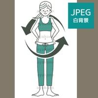 女性の身体の循環イメージ-2色【JPEG】