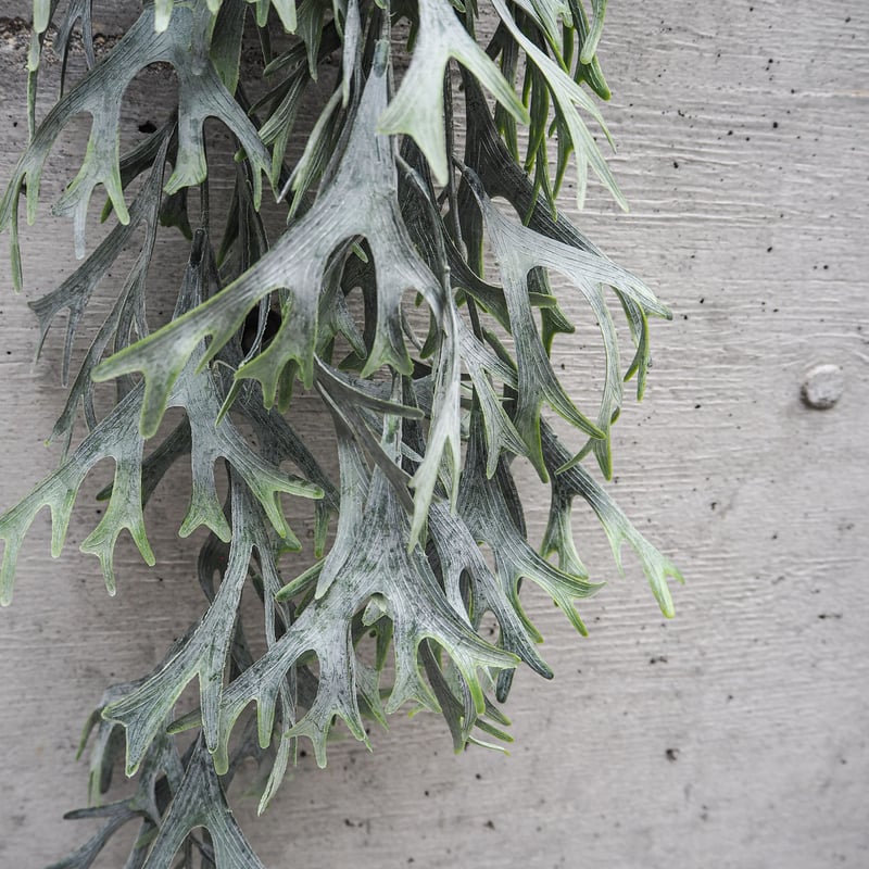 フェイクグリーン ビカクシダ 着生 84cm（麻紐付き） 垂れ下がる観葉