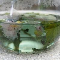 みつがの本草園　「農家の花ブレンドーぐんじょう」　三重県津市白山産 ハーブティー