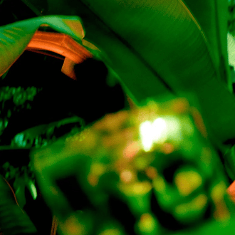 Vyrao I am Verdant 香水(ユニセックス) Vyrao＞ I am Verdant 50ml/香水