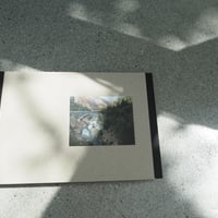 美品❗️Viviane Sassen SOL & LUNA 初版で貴重なサイン入り SOL & LUNA - BOOK AND SONS オンラインストア