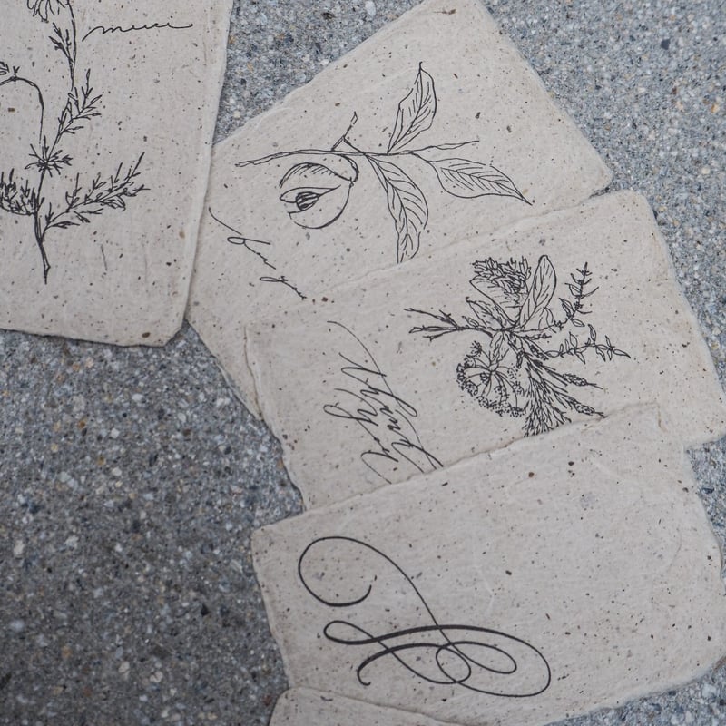 Mizuki Murata（村田瑞記）Botanical Message cards ボタニカ