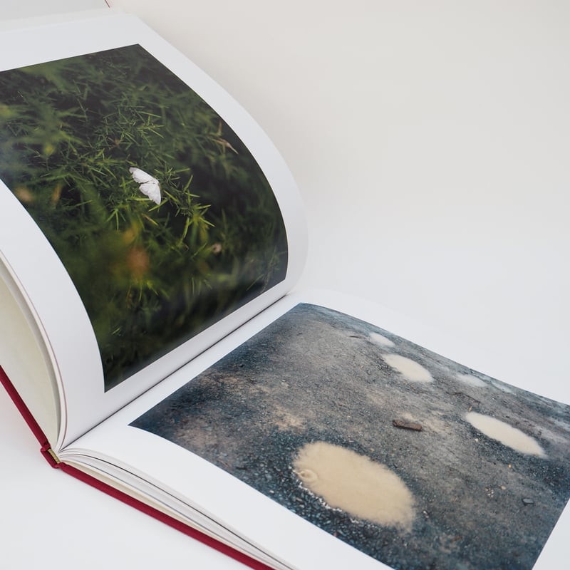 ジェム・ソーサム （JEM SOUTHAM) 写真集 ジェム・ソーサム （JEM SOUTHAM) 写真集 ジェム・ソーサム