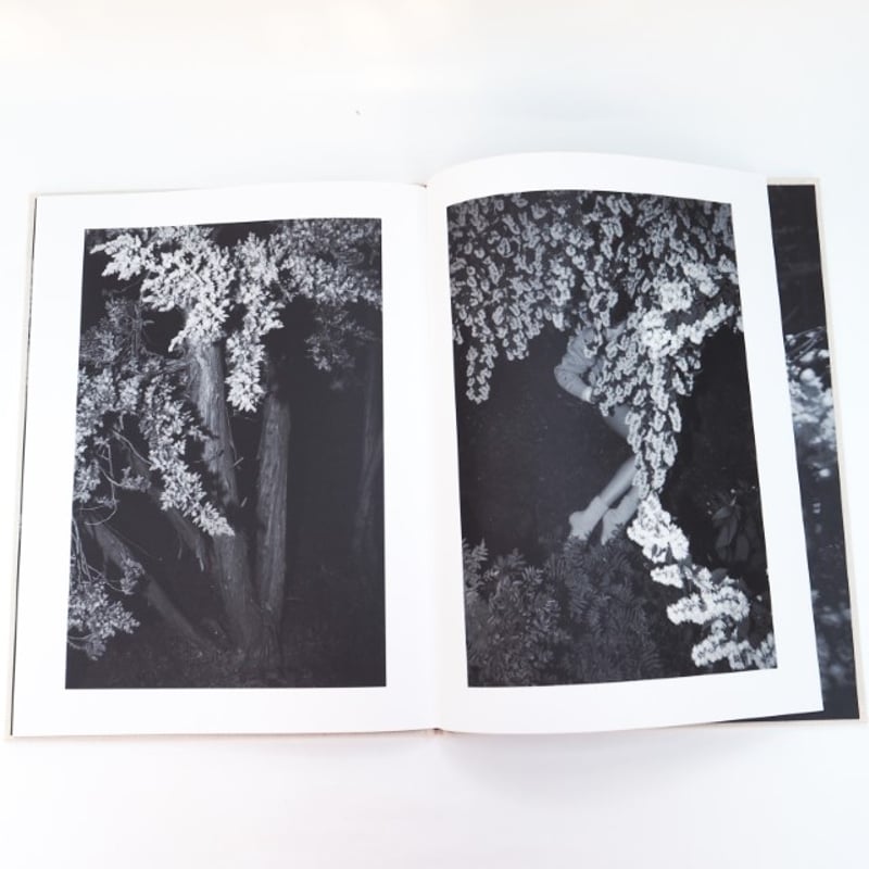 Sol & Luna　Viviane Sassen　直筆サイン SOL & LUNA - BOOK AND SONS オンラインストア
