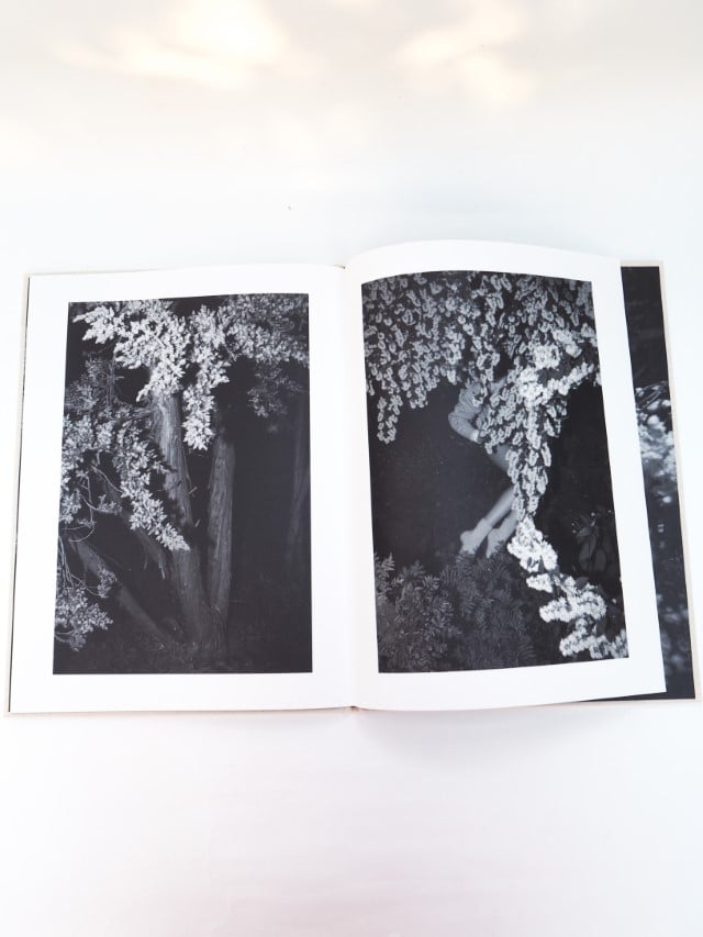 Viviane Sassen（ヴィヴィアン・サッセン）写真集 PHOSPHOR：ヴィヴィアン・サッセンの販売・通販 | OIL