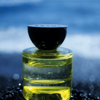 Wiener Blut （ウィーナーブルート）FREUDIAN WOOD（フロイディアン