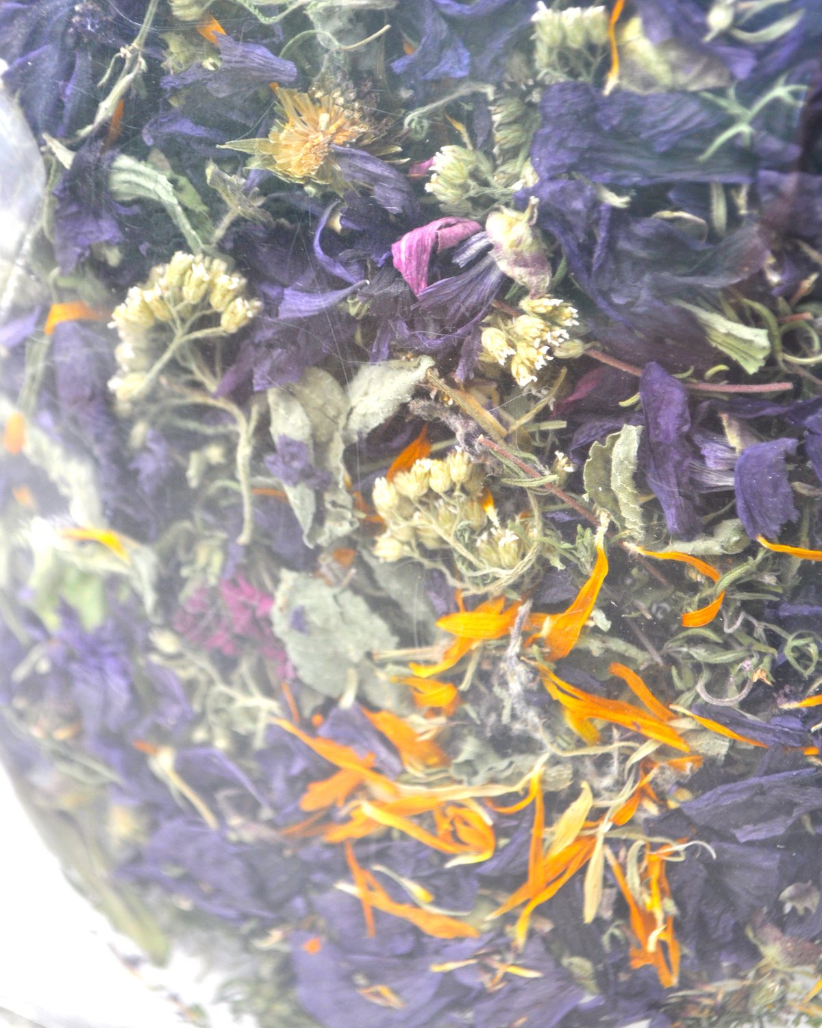 みつがの本草園 「免疫ブレンドーまもる」 ハーブティー 三重県津市