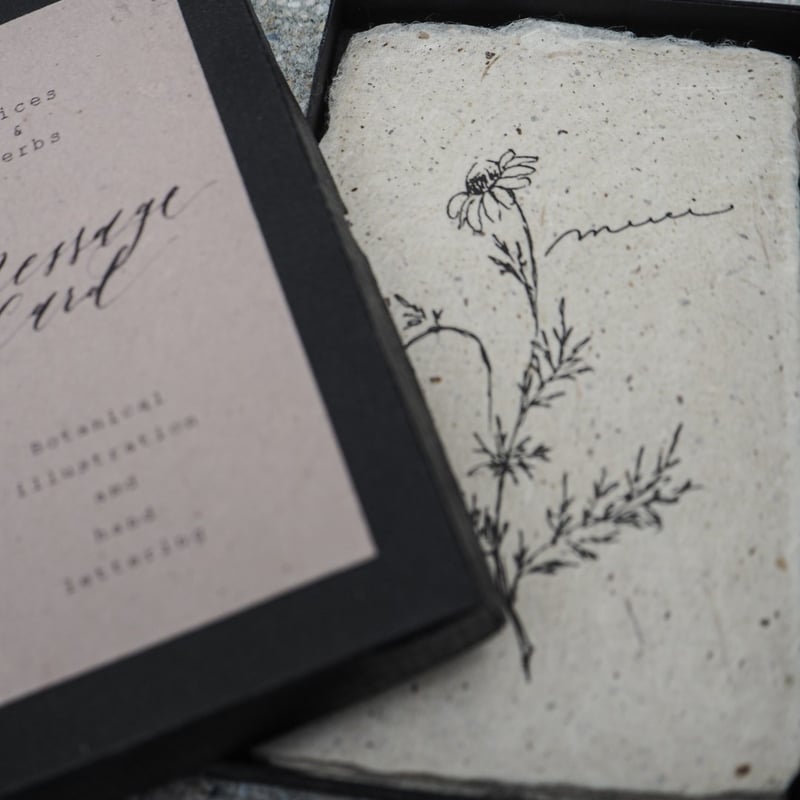 Mizuki Murata（村田瑞記）Botanical Message cards ボタニカ