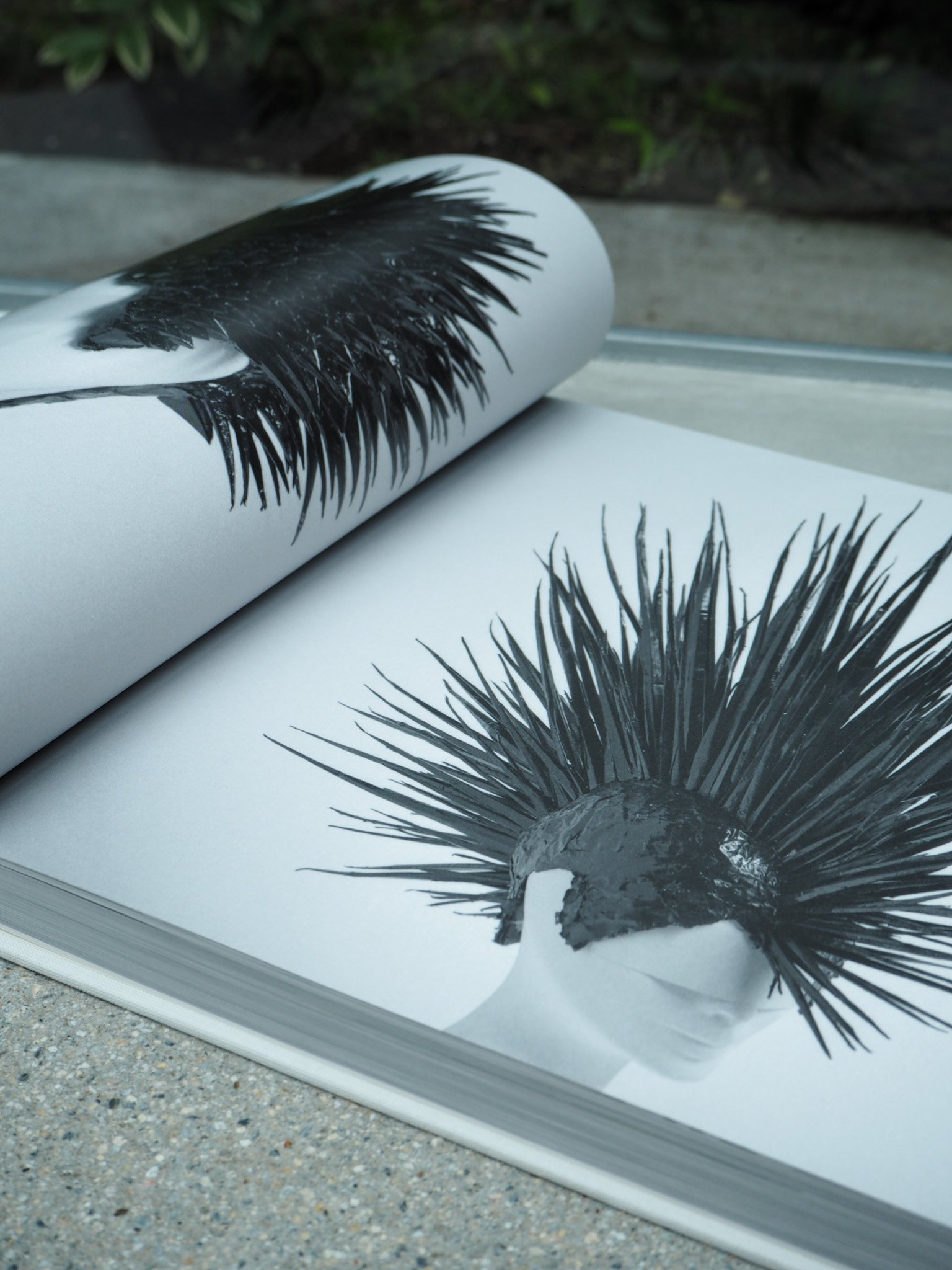 KAMO HEAD by Katsuya Kamo　加茂克也　作品集 古本 KAMO HEAD by Katsuya Kamo 加茂克也 作品集 | FILM STORE