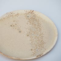 山口和声　焼きしめ　五.五寸 平皿 作家物　器　やまぽた
