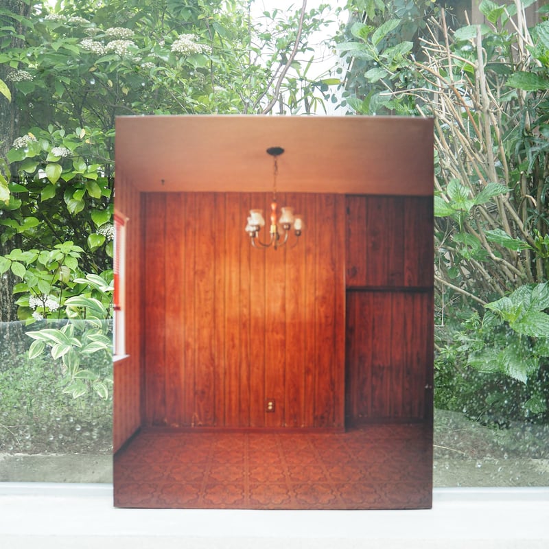 希少❗️4000部限定【Todd Hido: House Hunting】写真集 HOUSE HUNTING by Todd Hido トッドハイド 写真集 | FILM STORE