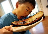 縞ほっけのがごめ昆布醤油干し