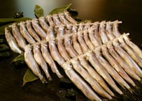 北海道産 新物干しししゃも　オス10尾　メス10尾