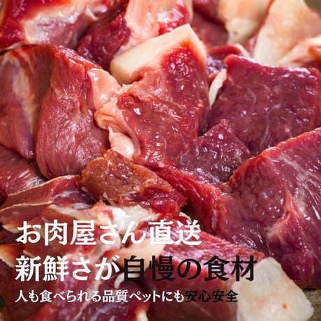 無添加 国産 鴨むね肉とズッキーニ スナック ジャーキー ペットおやつ