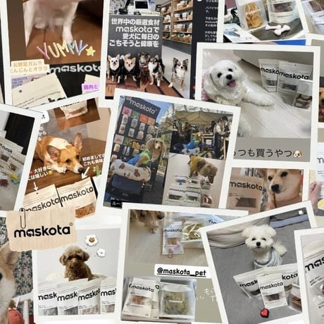 無添加 国産 鶏まる型スナック 小粒食べやすい 手作り ペットおやつ