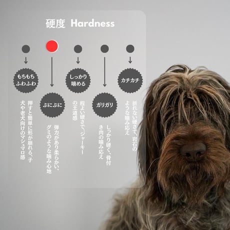 無添加 手作り 国産 鶏むね肉巻きリンゴ ペットおやつ ガム 犬猫用