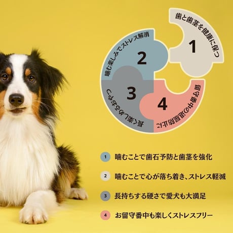 無添加手作り 国産鶏ムネ肉とオクラ スナック ジャーキー ペットおやつ