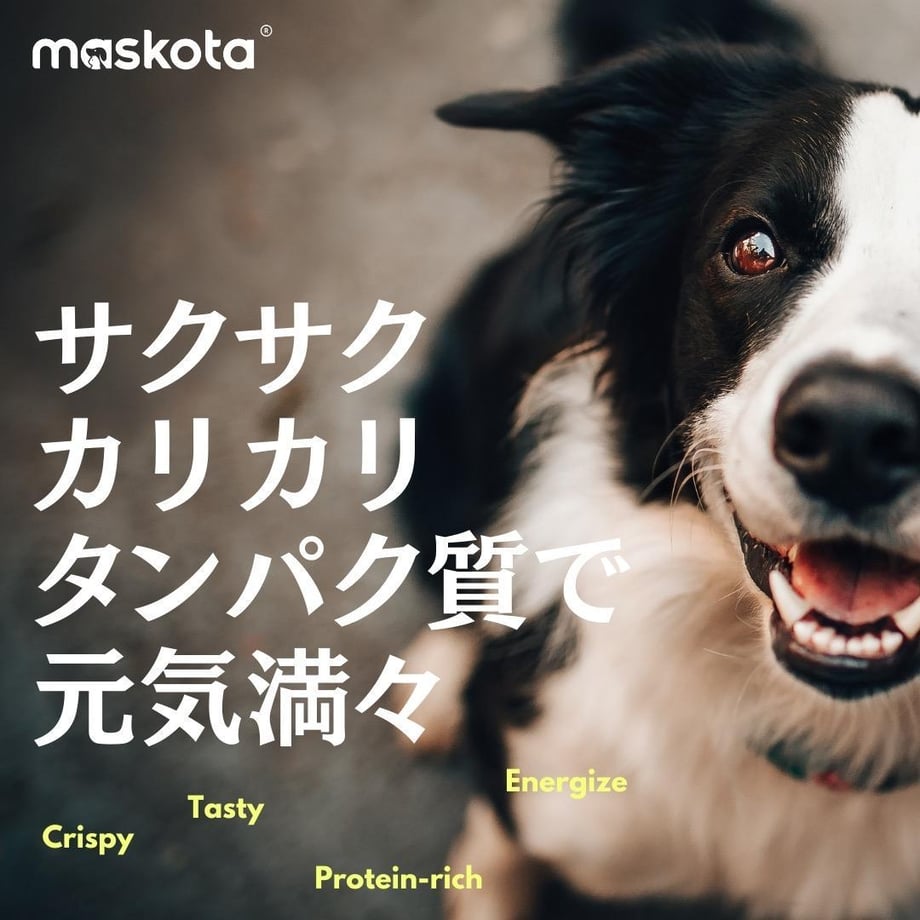 69e09c82a7f9cb7cbcf52706