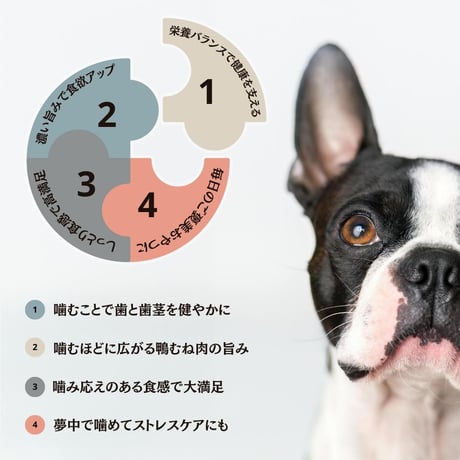 無添加 国産 鴨むね肉とズッキーニ スナック ジャーキー ペットおやつ