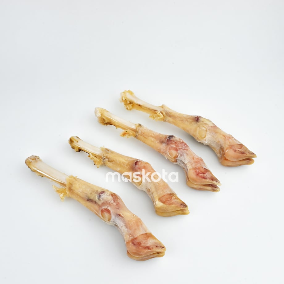 69df07956965925c79987b6a