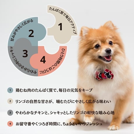 無添加 手作り 国産 鶏むね肉巻きリンゴ ペットおやつ ガム 犬猫用