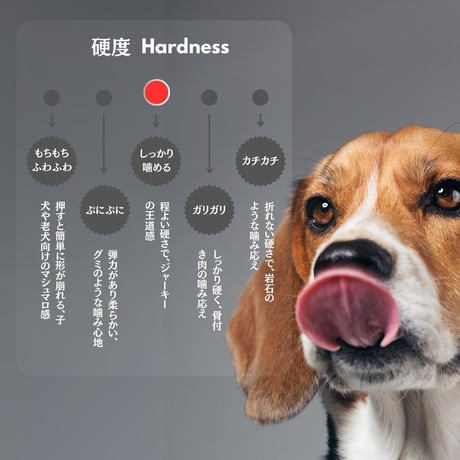 無添加 手作り タイ産鴨 鴨むね肉スライス ペットおやつ 犬猫用おやつ