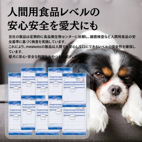 無添加 手作り タイ産鴨 鴨むね肉スライス ペットおやつ 犬猫用おやつ