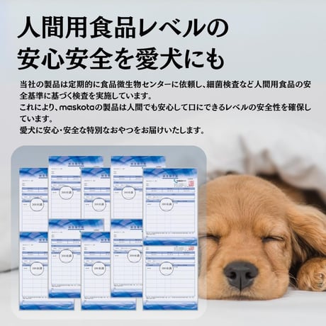 無添加手作り 国産鶏ムネ肉とオクラ スナック ジャーキー ペットおやつ