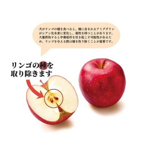 無添加 手作り 国産 鶏むね肉巻きリンゴ ペットおやつ ガム 犬猫用