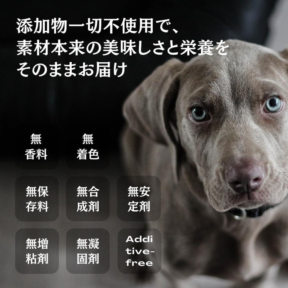 69ddfe4ff90f201074ff14b2