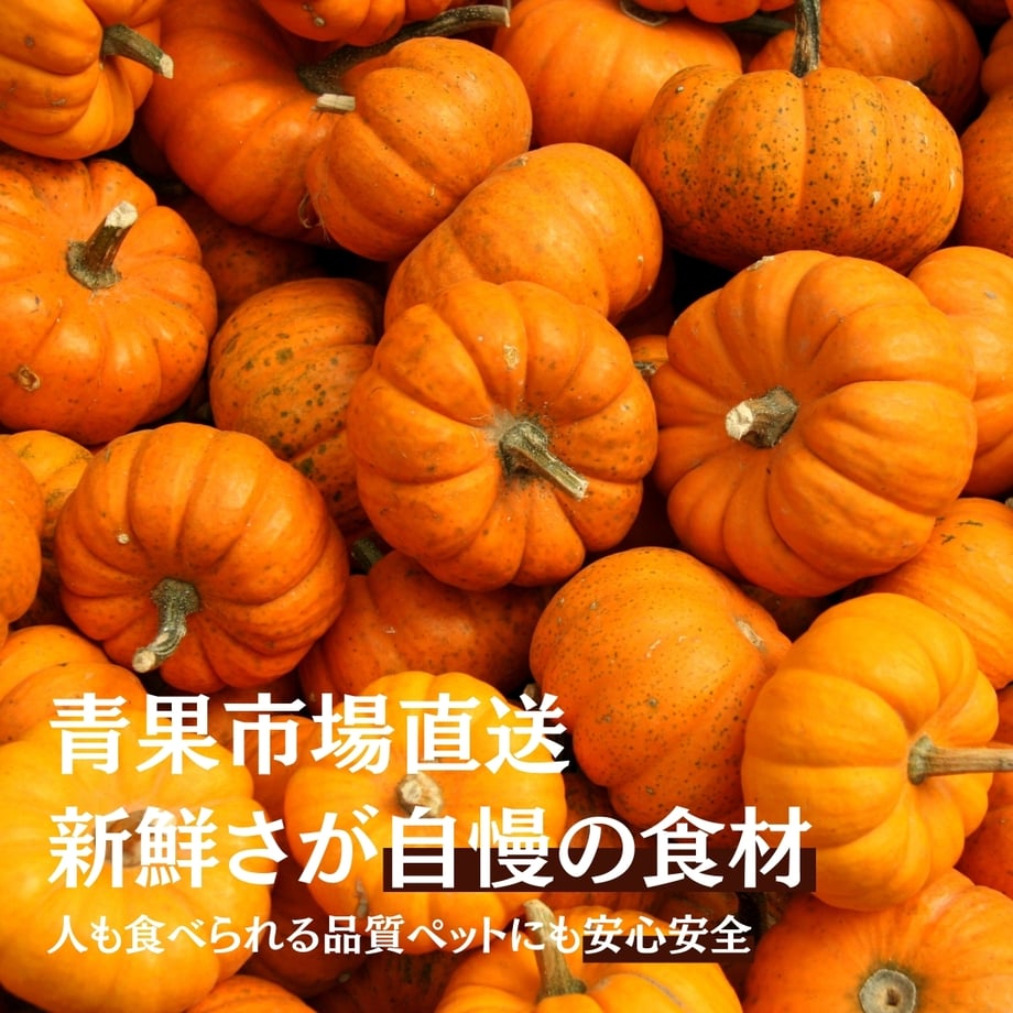6a3f5d87a751099172db5a0b