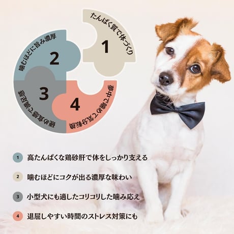 無添加 国産 鴨砂肝スライスジャーキー コリコリ 手作り ペットおやつ 犬猫用おやつ