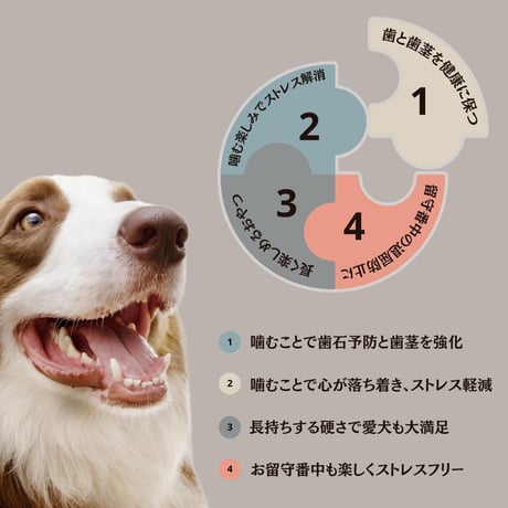無添加 国産 牛もも肉 スライス ジャーキー ペットおやつ 手作り